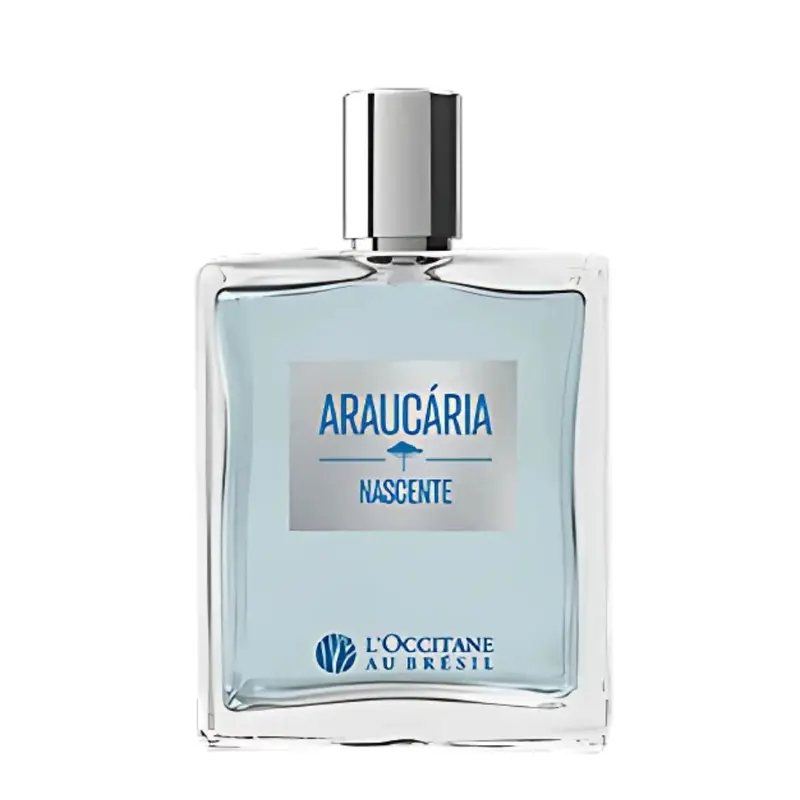 Au Bresil Araucaria Nascente Perfume Fragance 100Ml L'occitane 1
