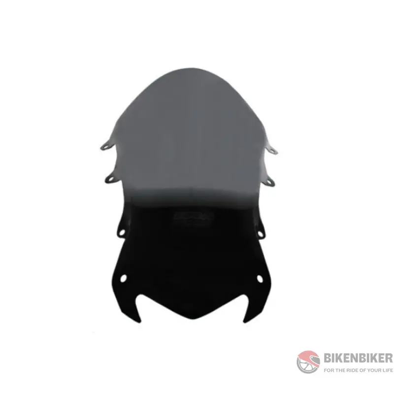 Bmw S1000 Rr Windscreen 1