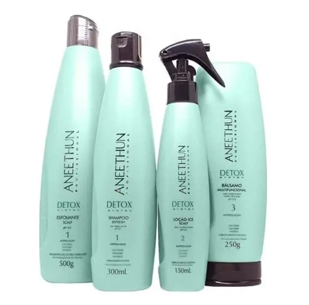Detox System Hair Healthy Antioxidant Refresh Treatment Kit 4 Itens - Aneethun 1