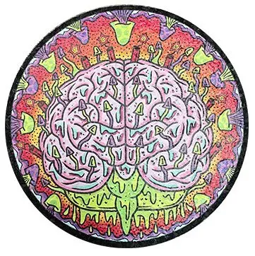 East Coasters - 10" This Is Your Brain On Drugs Coaster Dab Mat 1