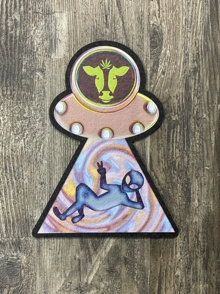 East Coasters - 11.25"X8.50" Space Cow Coaster Dab Mat 1