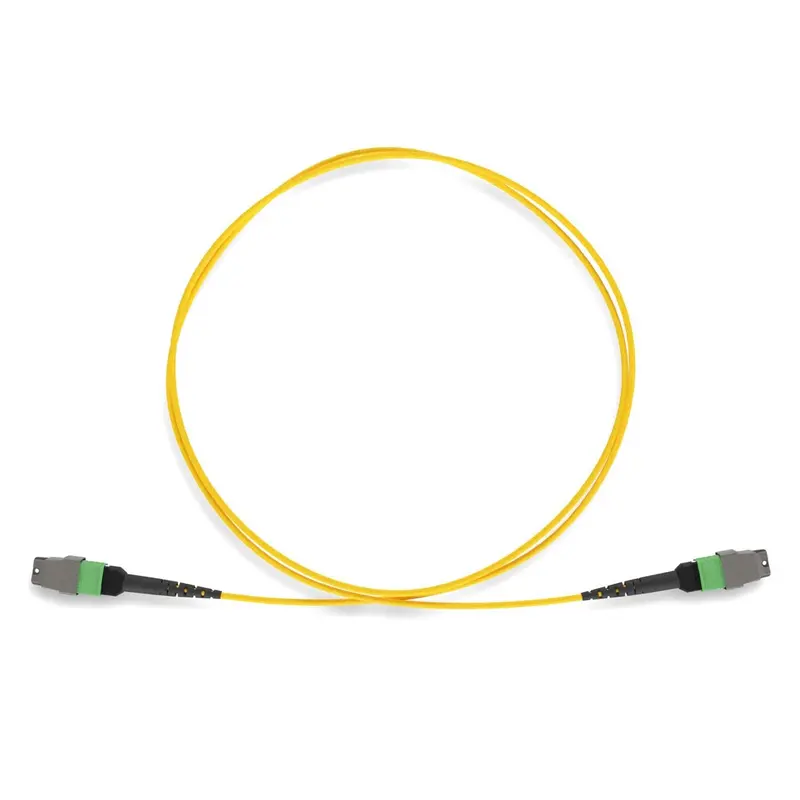 Mtp-Mtp Apc Female To Female Single-Mode 9/125 (Os2) Fiber Optic Cable Plenum Type B 1