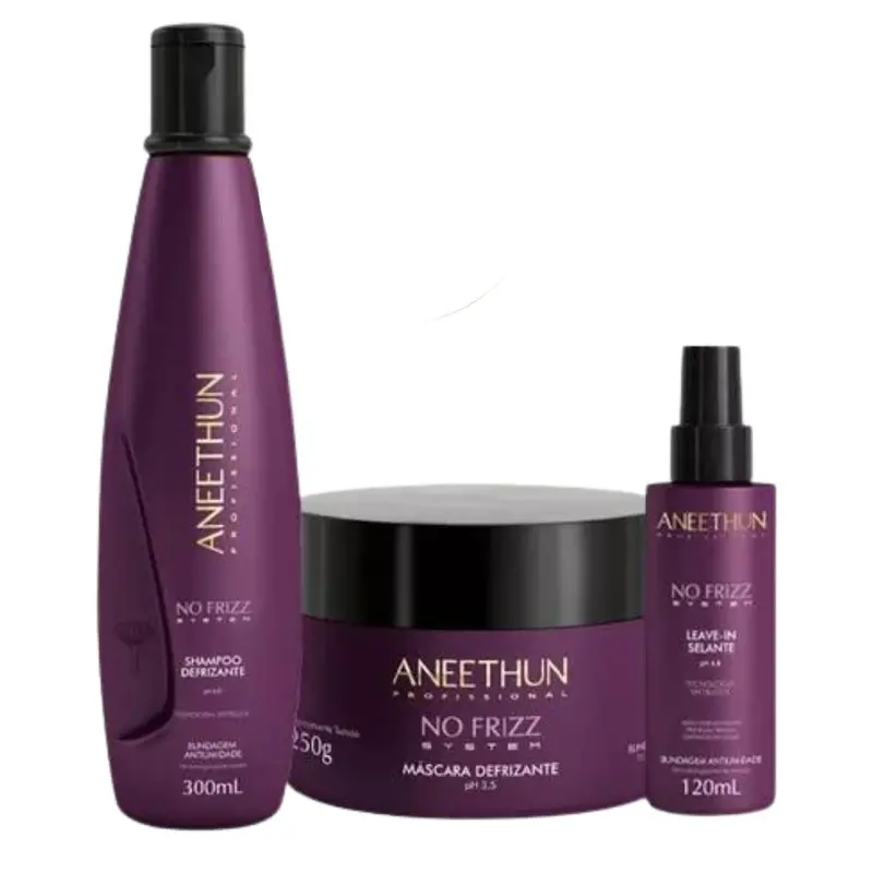 No Frizz System Home Care Straight Hair Kit 3 Itens Aneethun 1