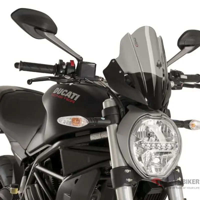 Sport Screen For Motorcycle Ducati Monster 821 2015 1
