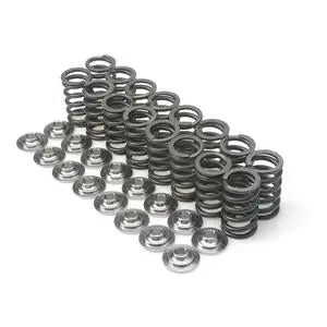 Brian Crower Honda/Acura K20A2/K20A/K24A2/F20C1/F22C1 (High Lift Cam) Dual Valve Springs - 16 Qty 1
