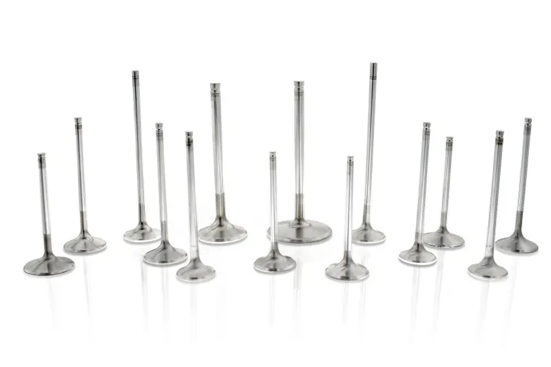 Ferrea Duratec 2.3L Intake Valve – 35.08Mm Stem, 5.48Mm Thickness, 103.6Mm Length (Single, Driver Side Only) 1